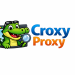 Can Croxy Proxy Bypass Website Restrictions? A Detailed Guide